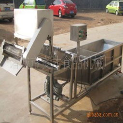 廠家直銷(xiāo) 凱成良才食品機(jī)械——優(yōu)質(zhì)果蔬清理清洗設(shè)備全方位展示